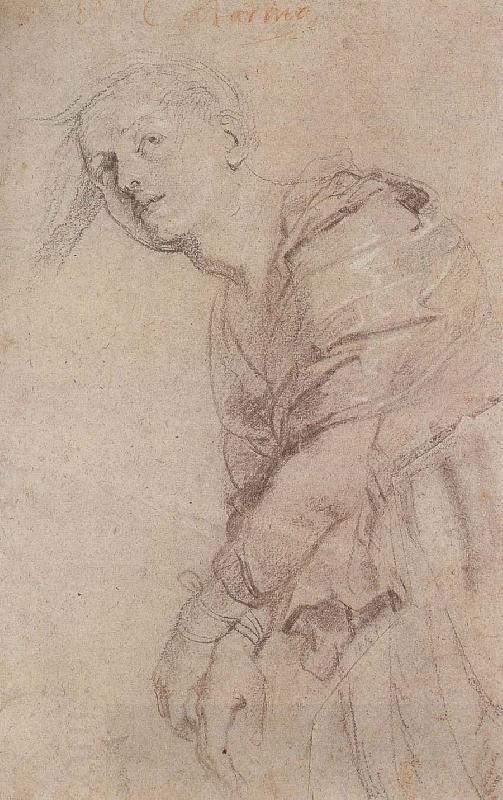 Peter Paul Rubens Sketch of Gedelinxidao